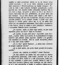 Mnichova žena, aneb, Stra&scaron;idlo v c&iacute;sařsk&eacute;m hradě(1884) document 666632