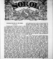 Sokol(1872.01) document 666824