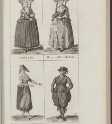 Het vaderland. / [By Johannes Florentius Martinet](1791) document 361476