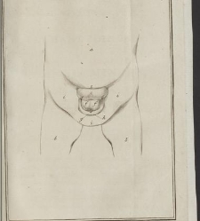 Verhandelingen van het Genootschap ter bevordering der heelkunde, te Amsterdam. : Part 1(1791) document 539073