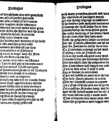 Prologus Here begynneth the prologue of the storye of Thebes(1497) document 311649