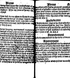 The statutes prohemium Iohannis Rastell(1527) document 311746