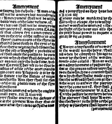 The statutes prohemium Iohannis Rastell(1527) document 311747