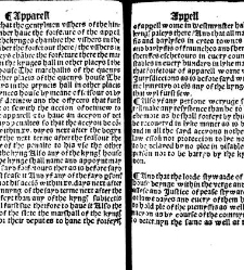 The statutes prohemium Iohannis Rastell(1527) document 311752