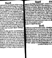 The statutes prohemium Iohannis Rastell(1527) document 311755