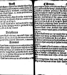 The statutes prohemium Iohannis Rastell(1527) document 311756