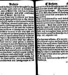 The statutes prohemium Iohannis Rastell(1527) document 311758