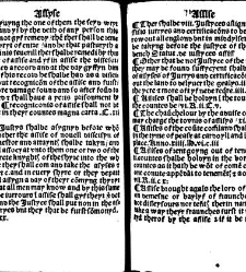 The statutes prohemium Iohannis Rastell(1527) document 311760