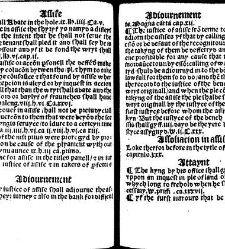 The statutes prohemium Iohannis Rastell(1527) document 311761