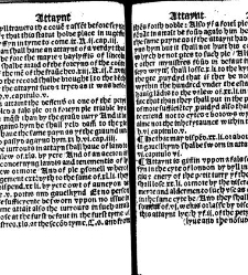 The statutes prohemium Iohannis Rastell(1527) document 311763