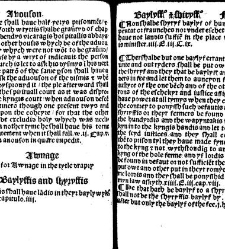 The statutes prohemium Iohannis Rastell(1527) document 311768