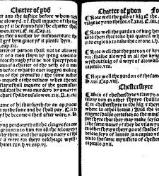 The statutes prohemium Iohannis Rastell(1527) document 311777