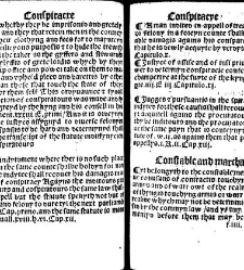 The statutes prohemium Iohannis Rastell(1527) document 311783