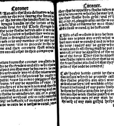 The statutes prohemium Iohannis Rastell(1527) document 311789