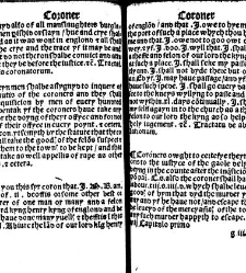 The statutes prohemium Iohannis Rastell(1527) document 311790