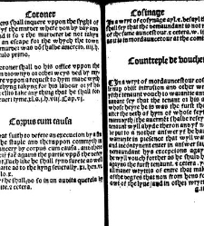 The statutes prohemium Iohannis Rastell(1527) document 311791