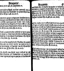 The statutes prohemium Iohannis Rastell(1527) document 311802