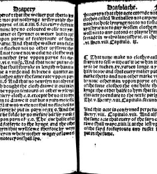 The statutes prohemium Iohannis Rastell(1527) document 311805