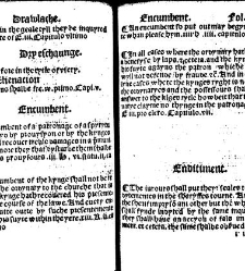 The statutes prohemium Iohannis Rastell(1527) document 311807