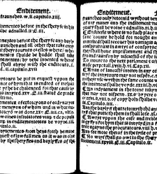 The statutes prohemium Iohannis Rastell(1527) document 311808