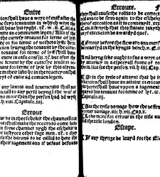 The statutes prohemium Iohannis Rastell(1527) document 311810