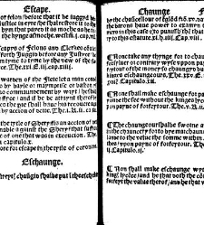 The statutes prohemium Iohannis Rastell(1527) document 311811