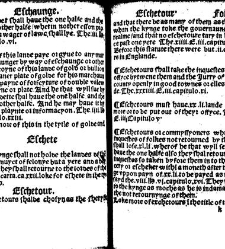 The statutes prohemium Iohannis Rastell(1527) document 311812