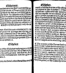 The statutes prohemium Iohannis Rastell(1527) document 311815