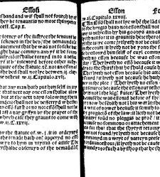 The statutes prohemium Iohannis Rastell(1527) document 311818