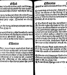 The statutes prohemium Iohannis Rastell(1527) document 311819