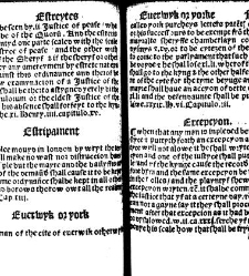 The statutes prohemium Iohannis Rastell(1527) document 311820