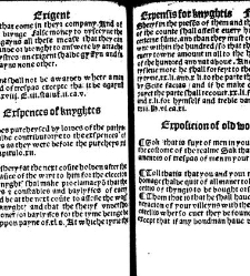 The statutes prohemium Iohannis Rastell(1527) document 311824