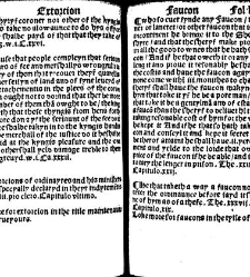 The statutes prohemium Iohannis Rastell(1527) document 311827