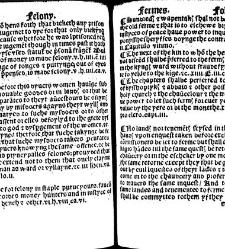 The statutes prohemium Iohannis Rastell(1527) document 311831