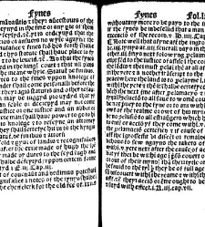 The statutes prohemium Iohannis Rastell(1527) document 311833