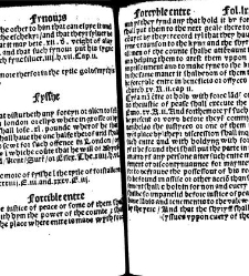 The statutes prohemium Iohannis Rastell(1527) document 311835