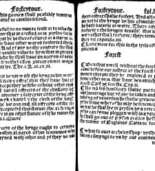 The statutes prohemium Iohannis Rastell(1527) document 311837