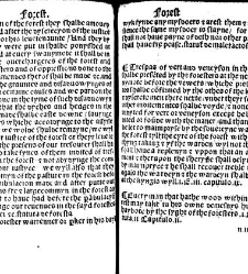 The statutes prohemium Iohannis Rastell(1527) document 311839