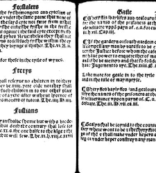 The statutes prohemium Iohannis Rastell(1527) document 311842