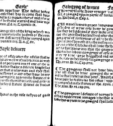 The statutes prohemium Iohannis Rastell(1527) document 311843