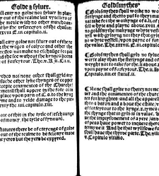 The statutes prohemium Iohannis Rastell(1527) document 311845