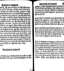 The statutes prohemium Iohannis Rastell(1527) document 311847