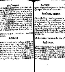 The statutes prohemium Iohannis Rastell(1527) document 311849