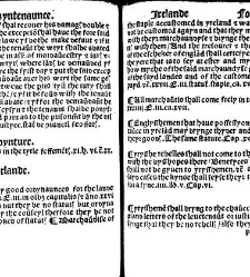 The statutes prohemium Iohannis Rastell(1527) document 311855