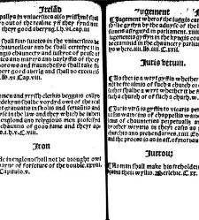 The statutes prohemium Iohannis Rastell(1527) document 311856