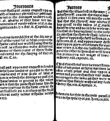 The statutes prohemium Iohannis Rastell(1527) document 311859