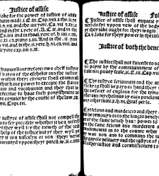 The statutes prohemium Iohannis Rastell(1527) document 311867