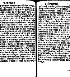 The statutes prohemium Iohannis Rastell(1527) document 311870