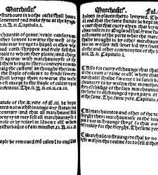 The statutes prohemium Iohannis Rastell(1527) document 311887