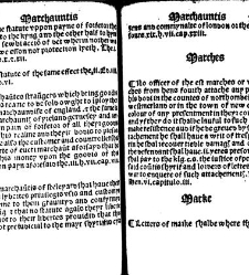 The statutes prohemium Iohannis Rastell(1527) document 311890